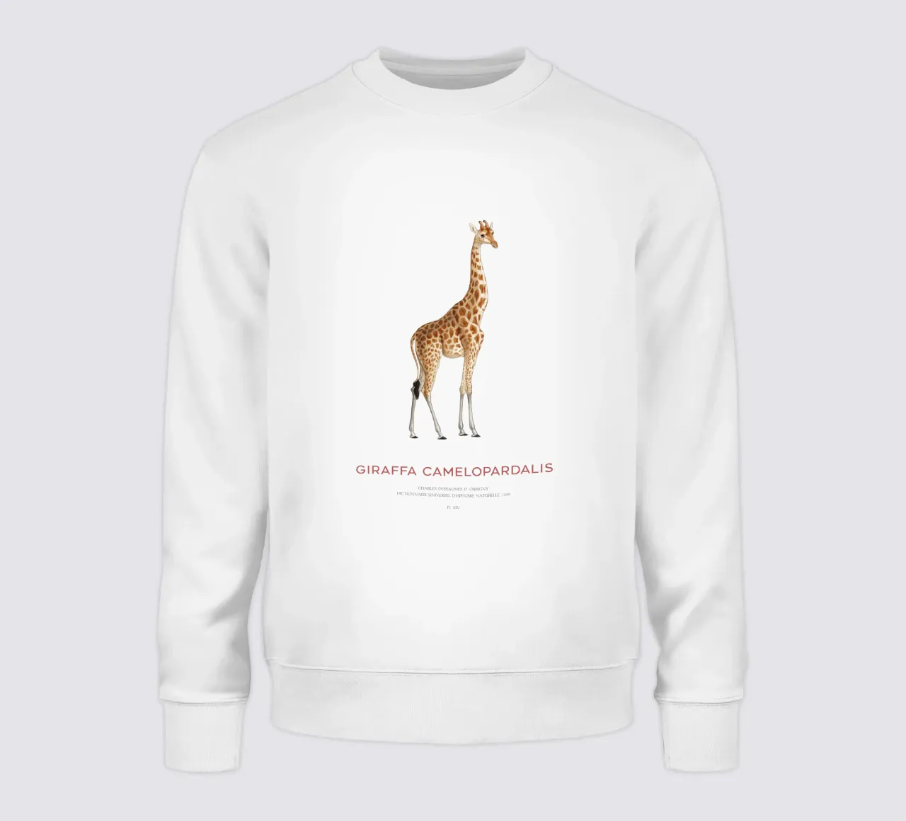 Giraffe or Giraffe Camelopardalis sweatshirt by Vintagrafica