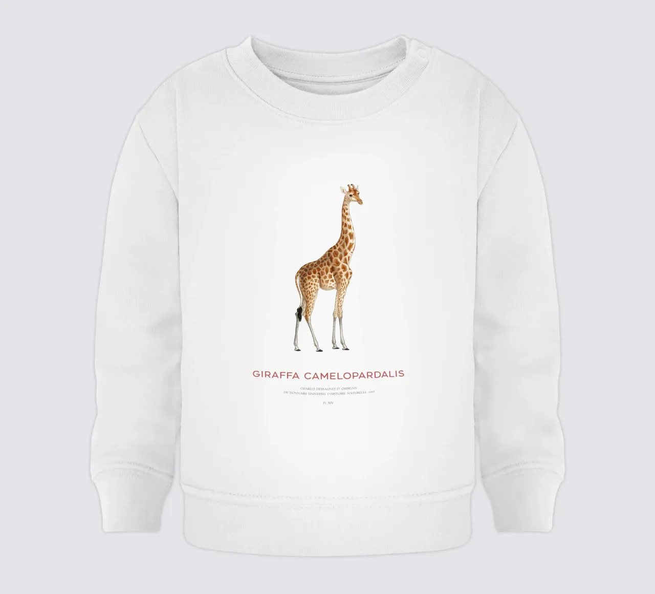 Giraffe or Giraffa Camelopardalis felpa neonato da Vintagrafica