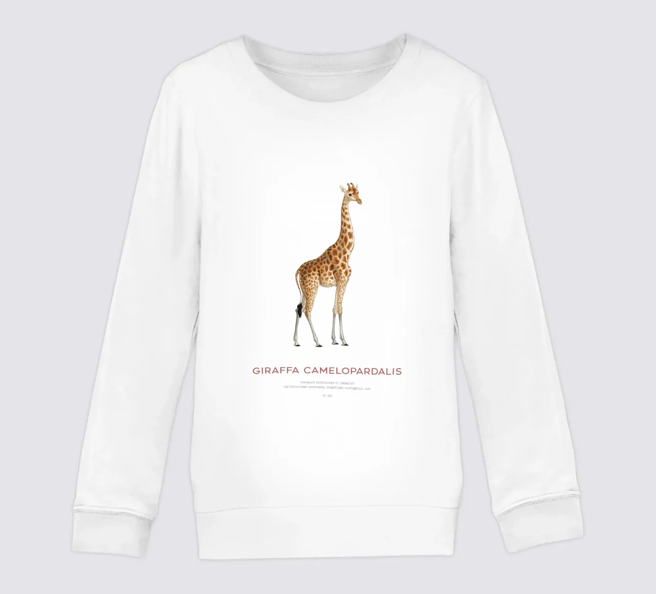 Giraffe or Giraffa Camelopardalis felpa bambino da Vintagrafica