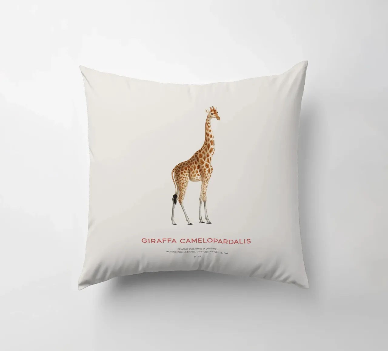 Giraffe or Giraffa Camelopardalis cuscino da Vintagrafica