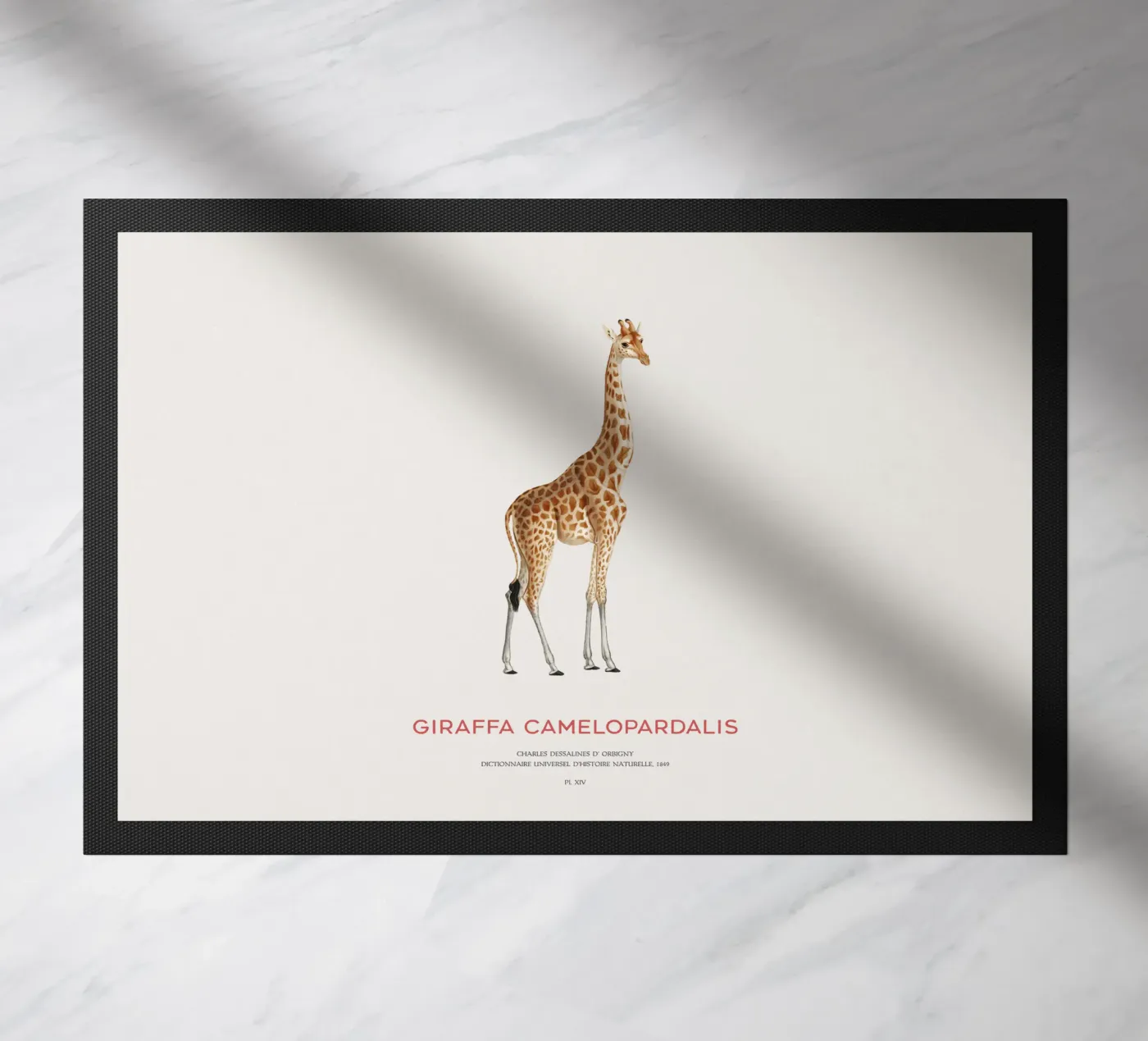 Giraffe or Giraffe Camelopardalis Fußmatte von Vintagrafica