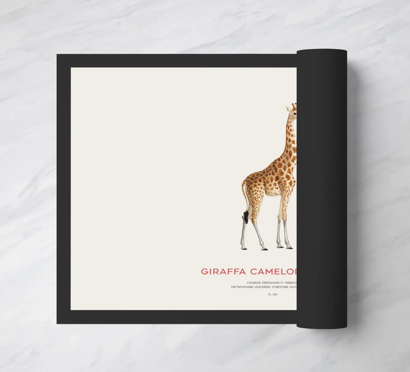 Giraffe or Giraffe Camelopardalis Fußmatte von Vintagrafica