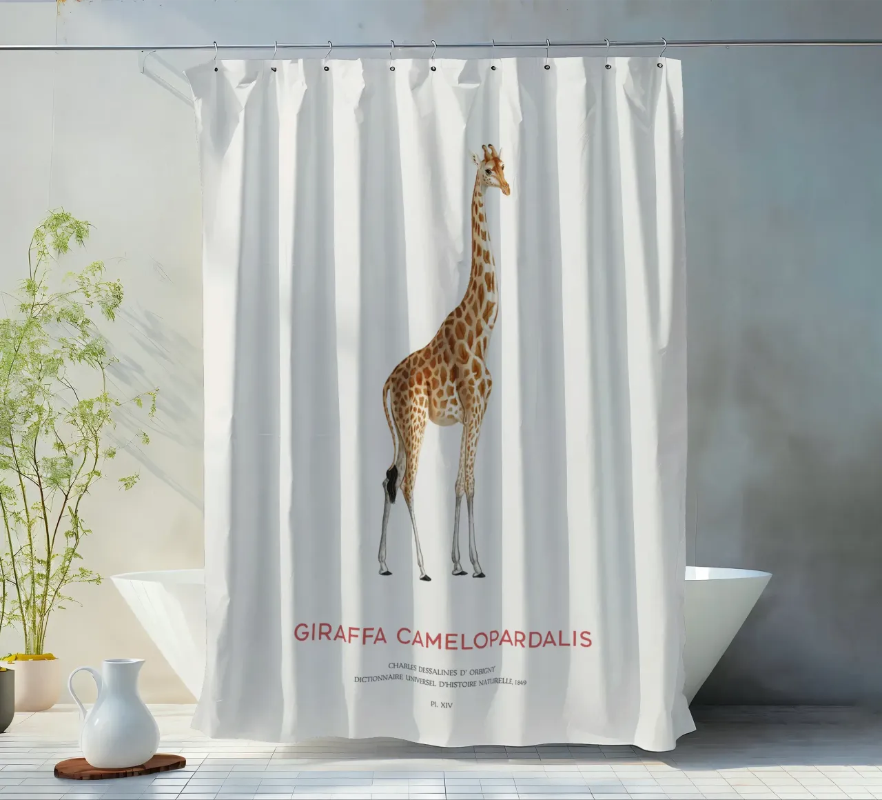 Giraffe or Giraffa Camelopardalis tenda da doccia da Vintagrafica