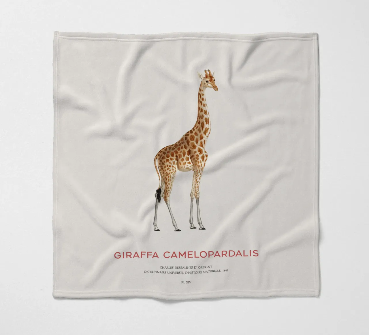 Giraffe or Giraffe Camelopardalis Fleecedecke von Vintagrafica