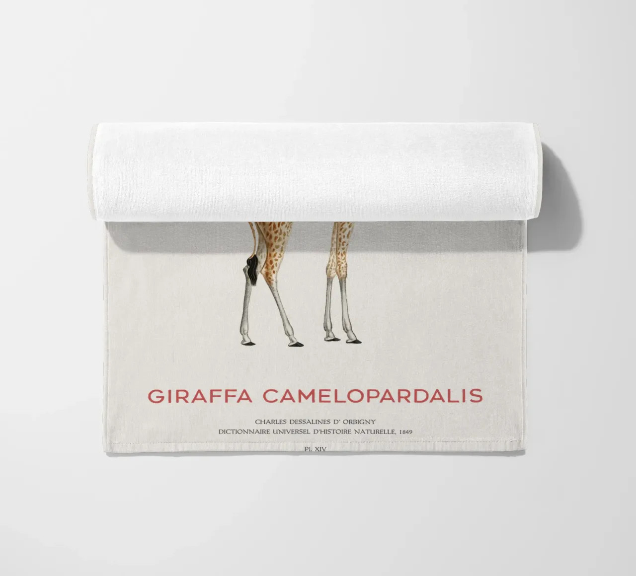 Giraffe or Giraffa Camelopardalis telo mare da Vintagrafica