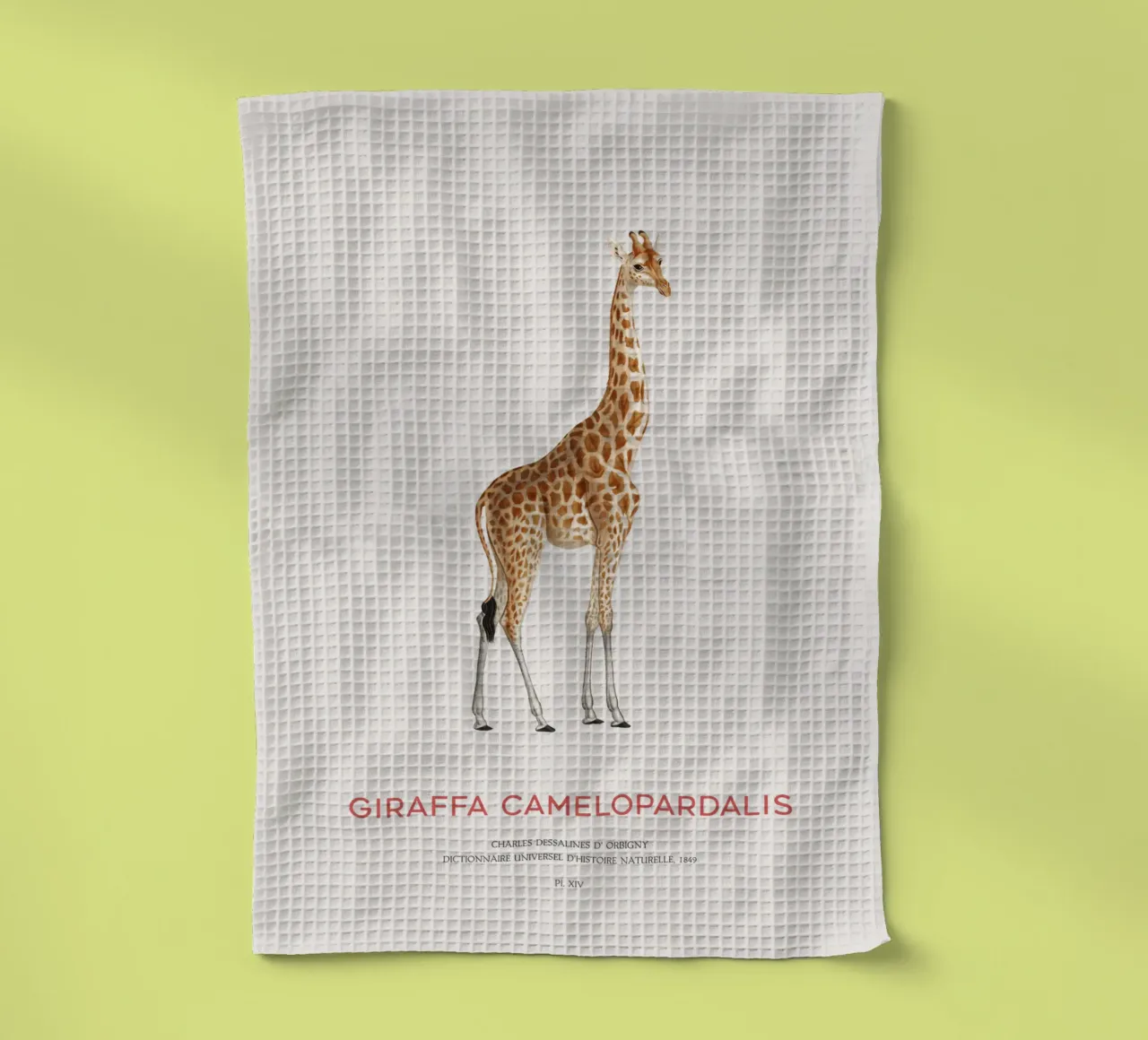 Giraffe or Giraffa Camelopardalis canovaccio da cucina da Vintagrafica