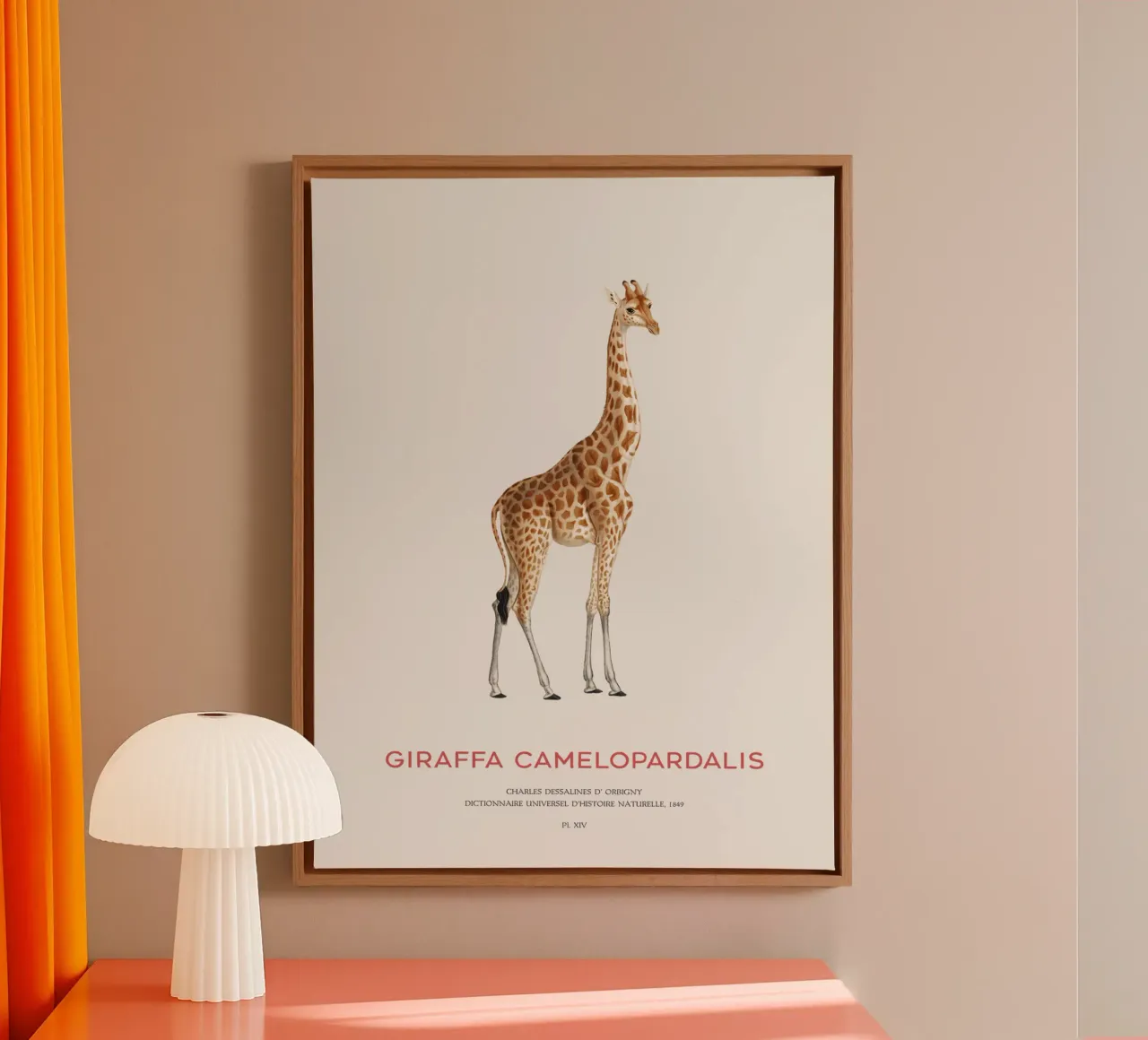 Giraffe or Giraffa Camelopardalis tela da Vintagrafica