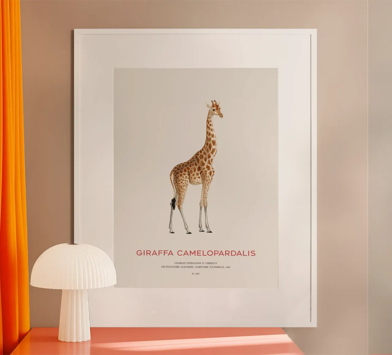 Giraffe or Giraffe Camelopardalis Poster von Vintagrafica