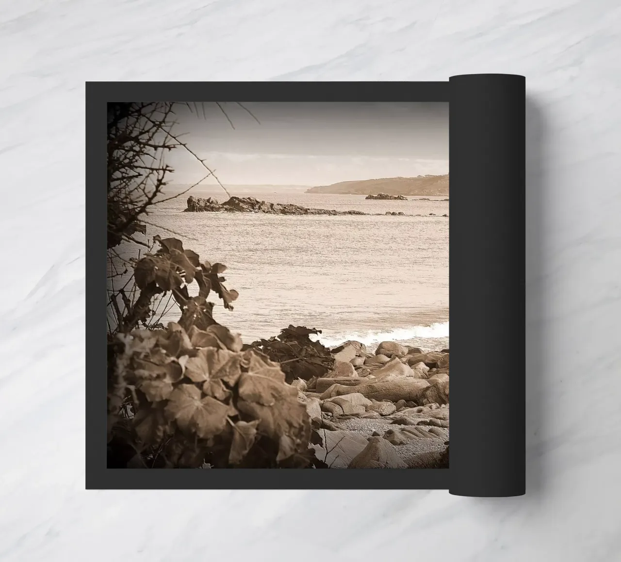 FAA56 zerbino da Thierry vobmann photography