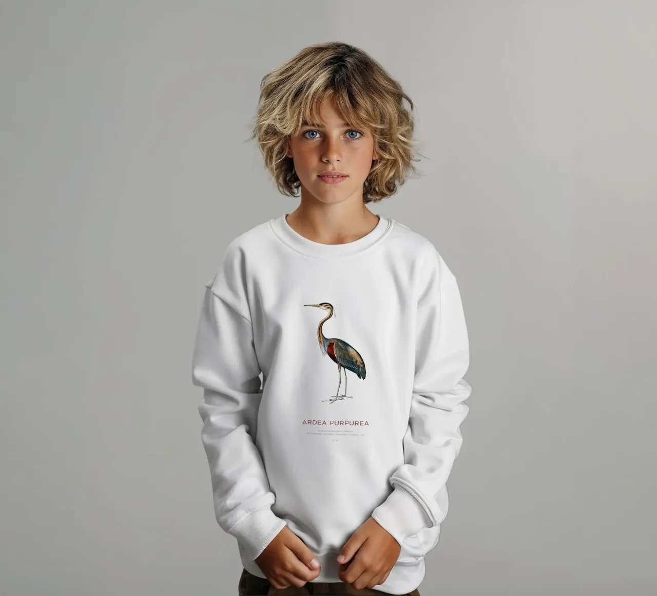 Airone rosso o Ardea purpurea felpa bambino da Vintagrafica