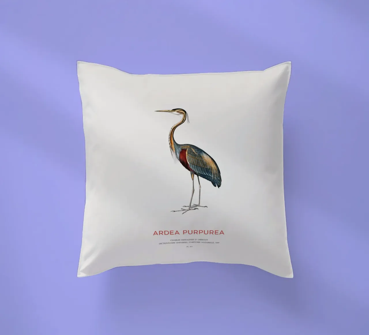 Airone rosso o Ardea purpurea cuscino da Vintagrafica