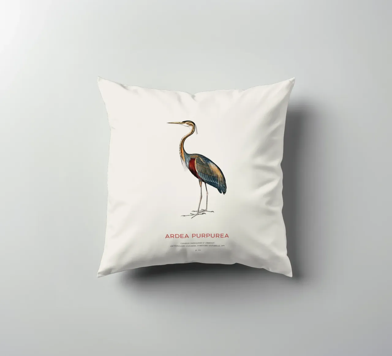 Airone rosso o Ardea purpurea cuscino da Vintagrafica