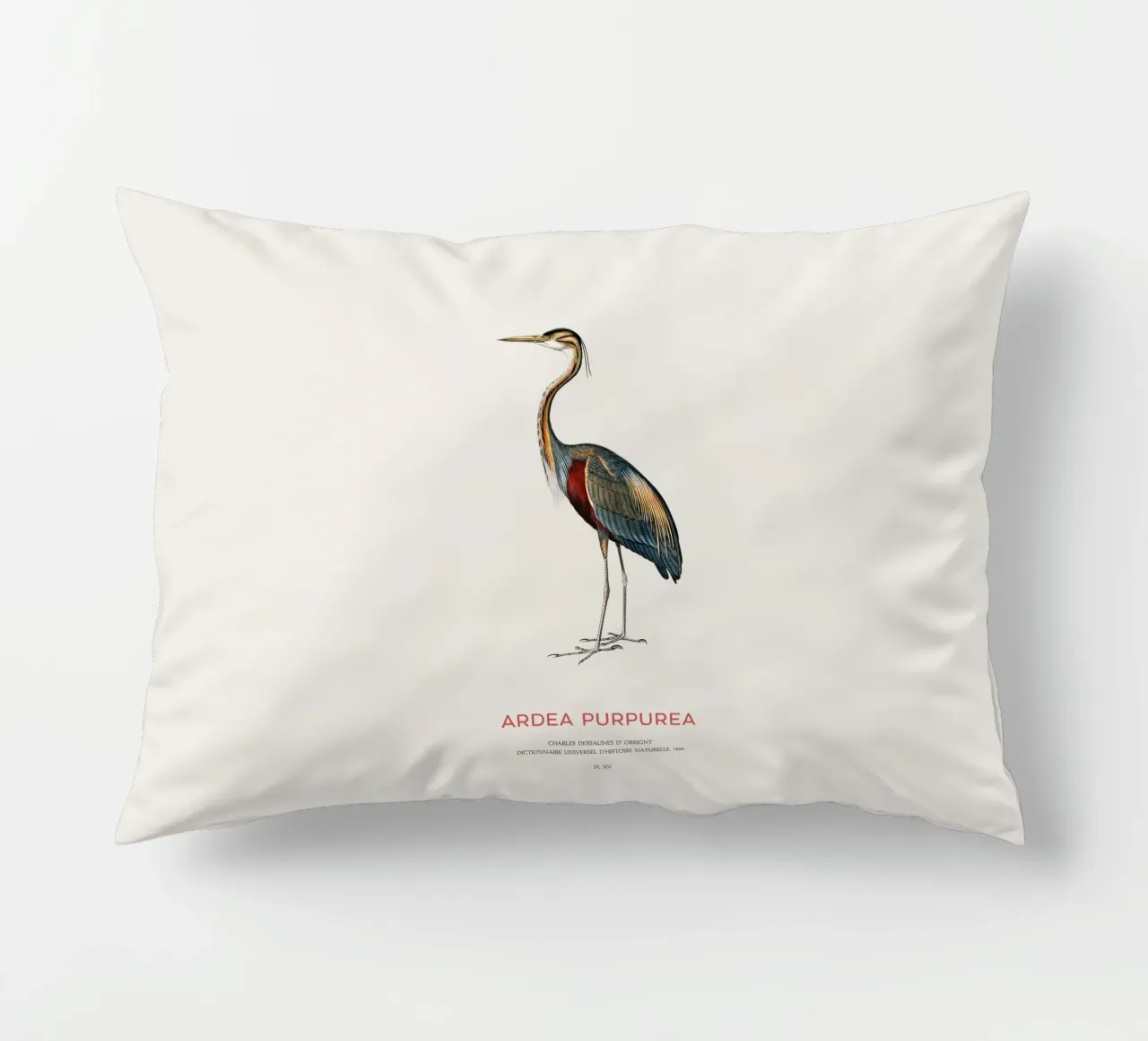 Airone rosso o Ardea purpurea cuscino da Vintagrafica