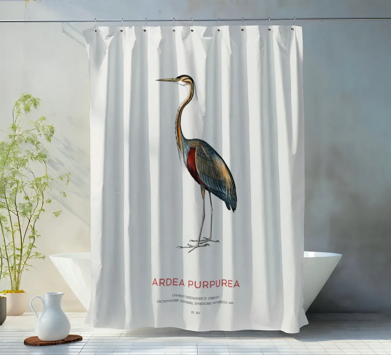 Purple heron or Ardea Purpurea shower curtain by Vintagrafica