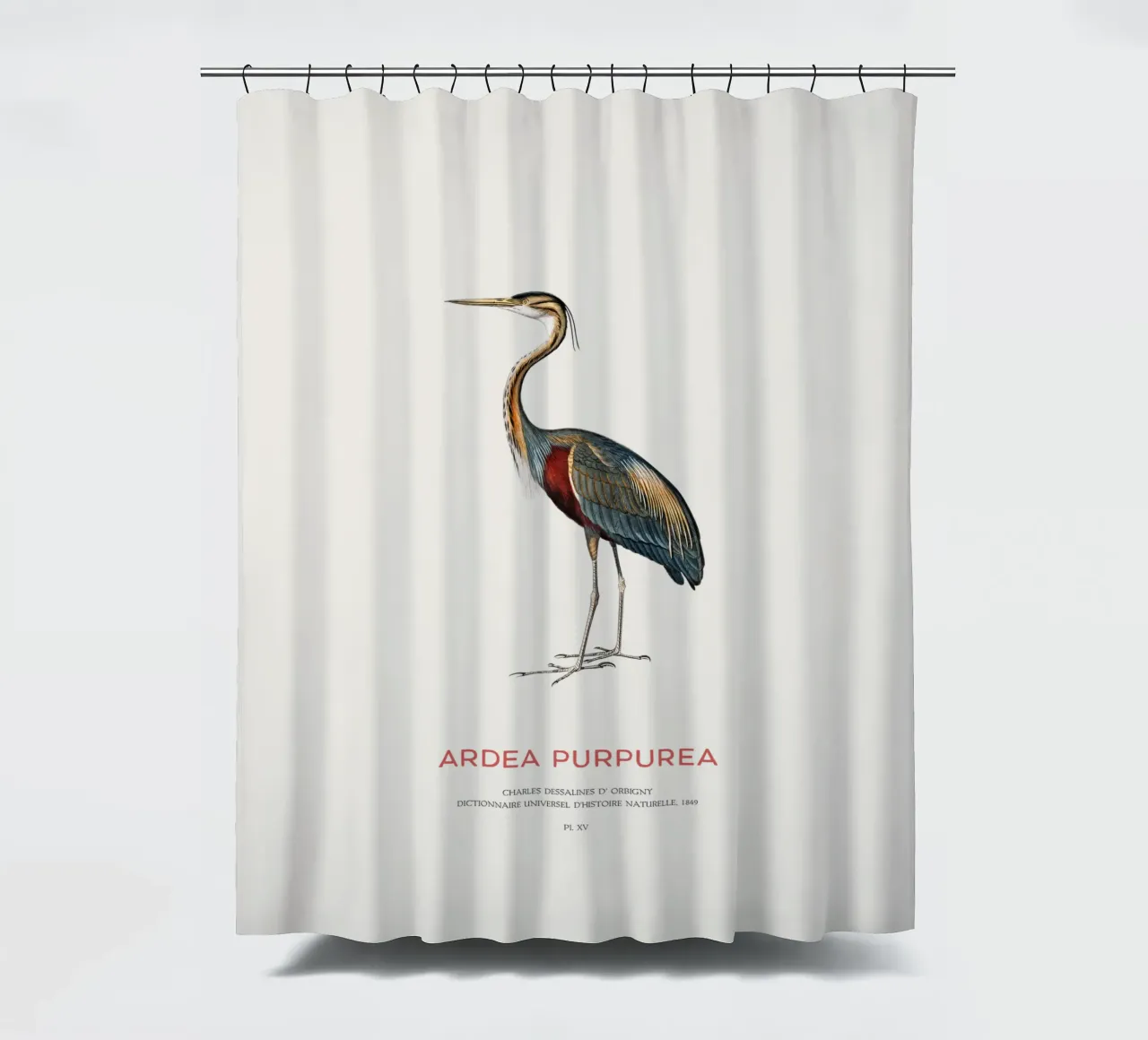 Purple heron or Ardea Purpurea shower curtain by Vintagrafica