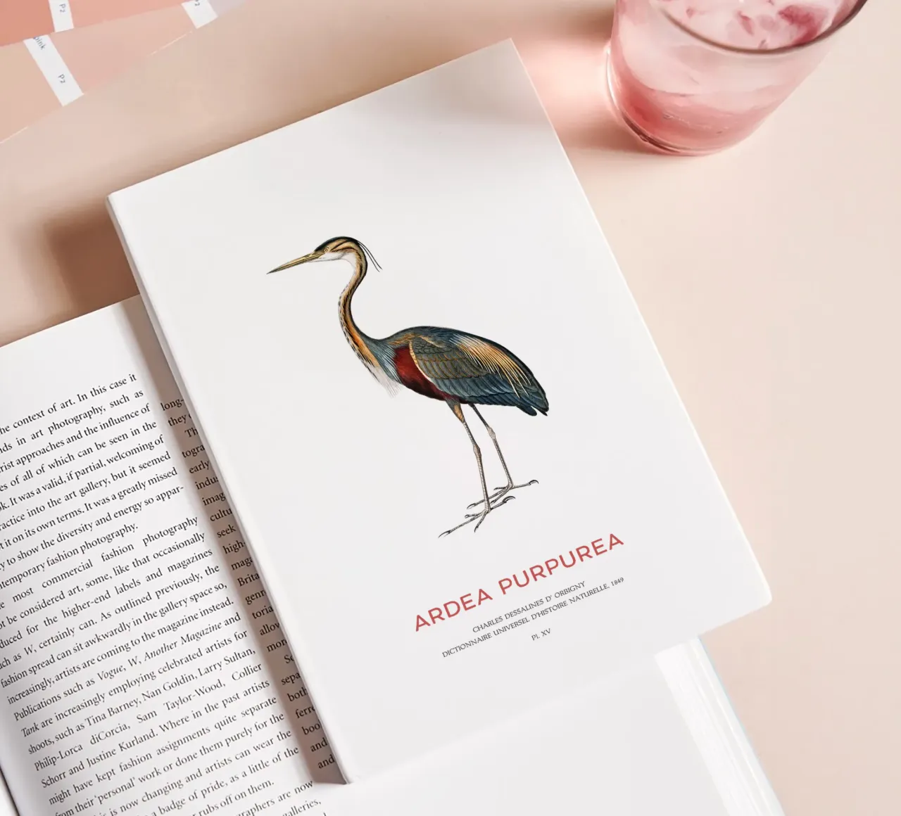 Purple heron or Ardea Purpurea notebook by Vintagrafica