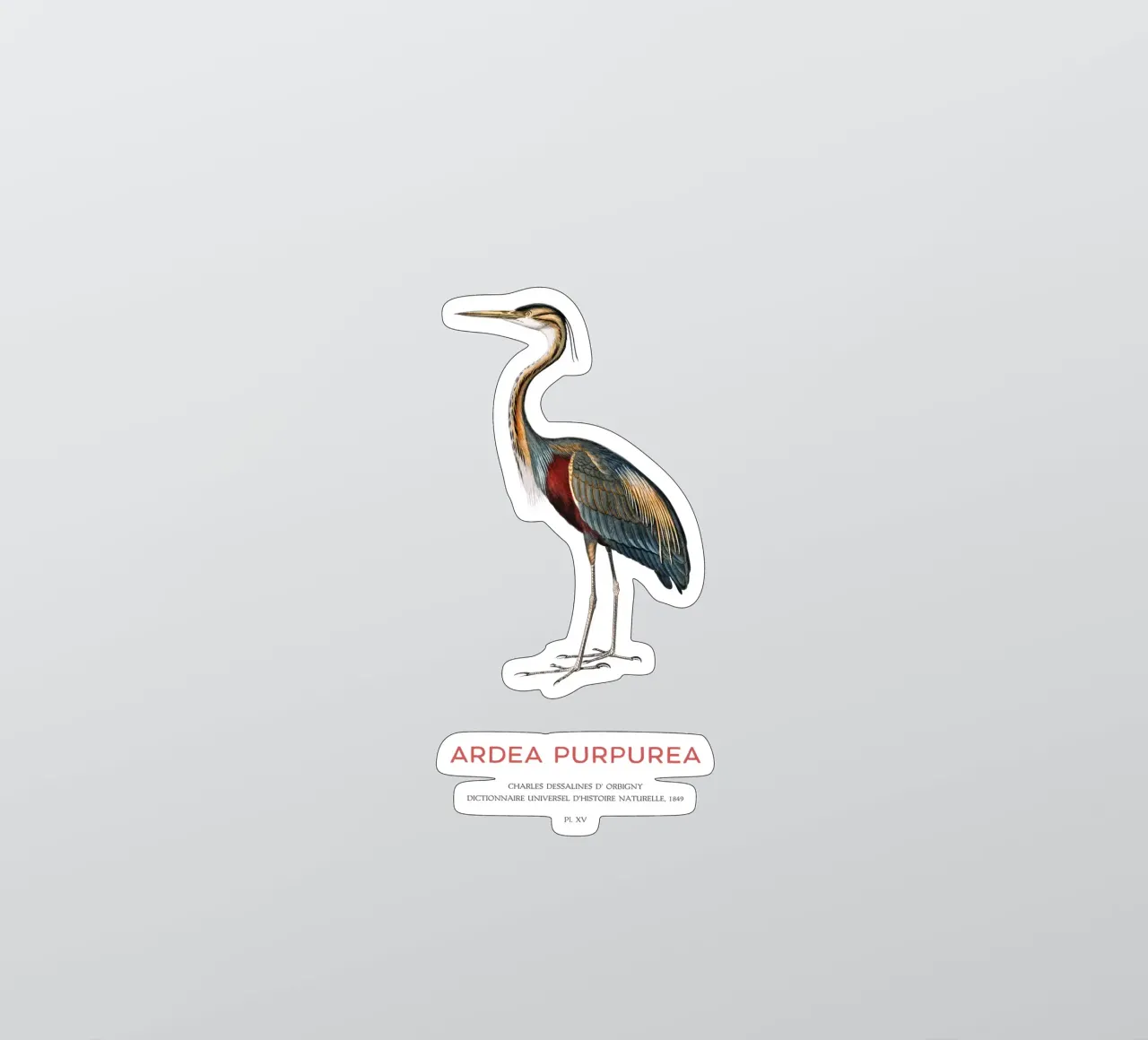Purple heron or Ardea Purpurea sticker by Vintagrafica