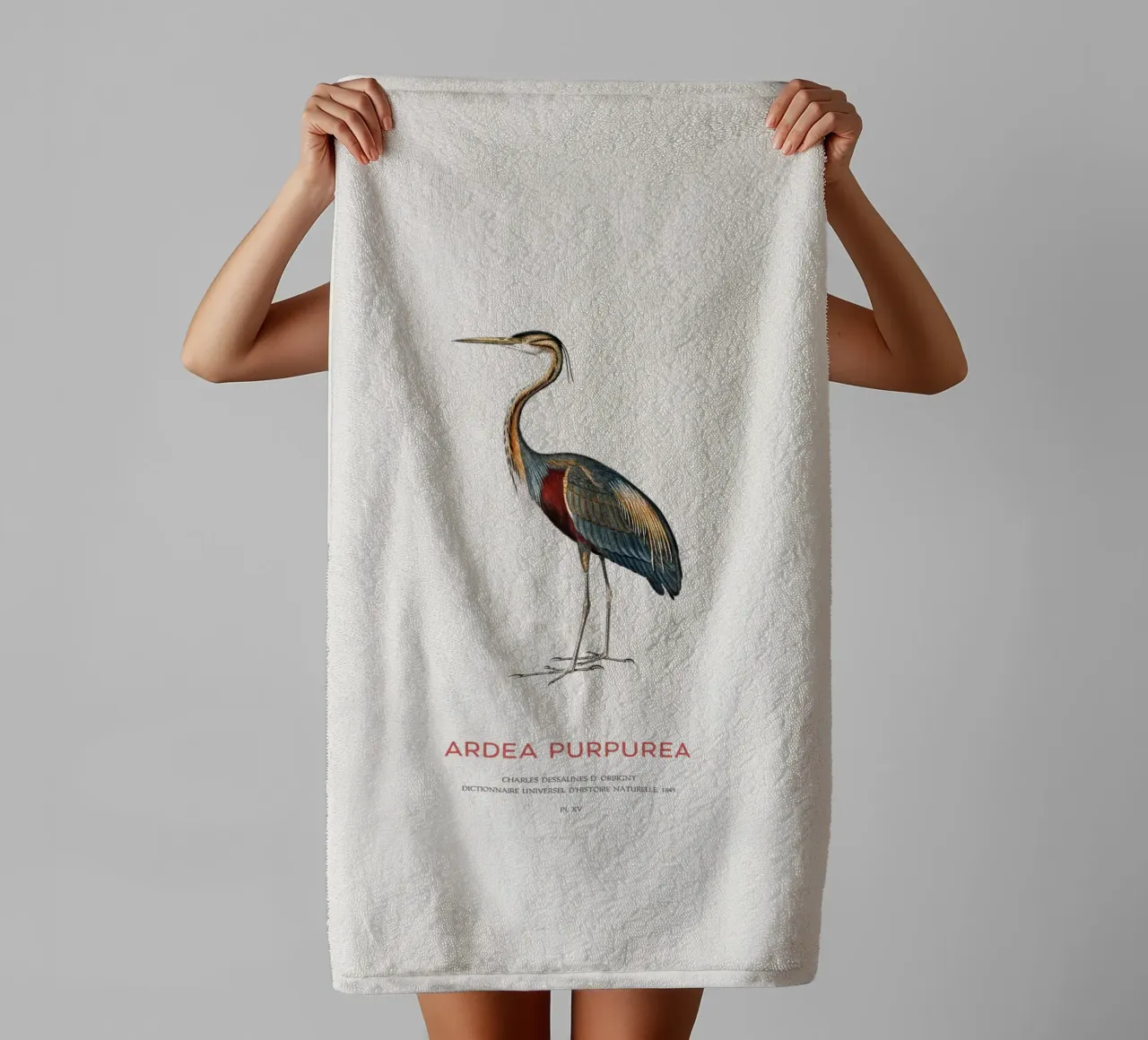 Airone rosso o Ardea purpurea asciugamano da bagno da Vintagrafica