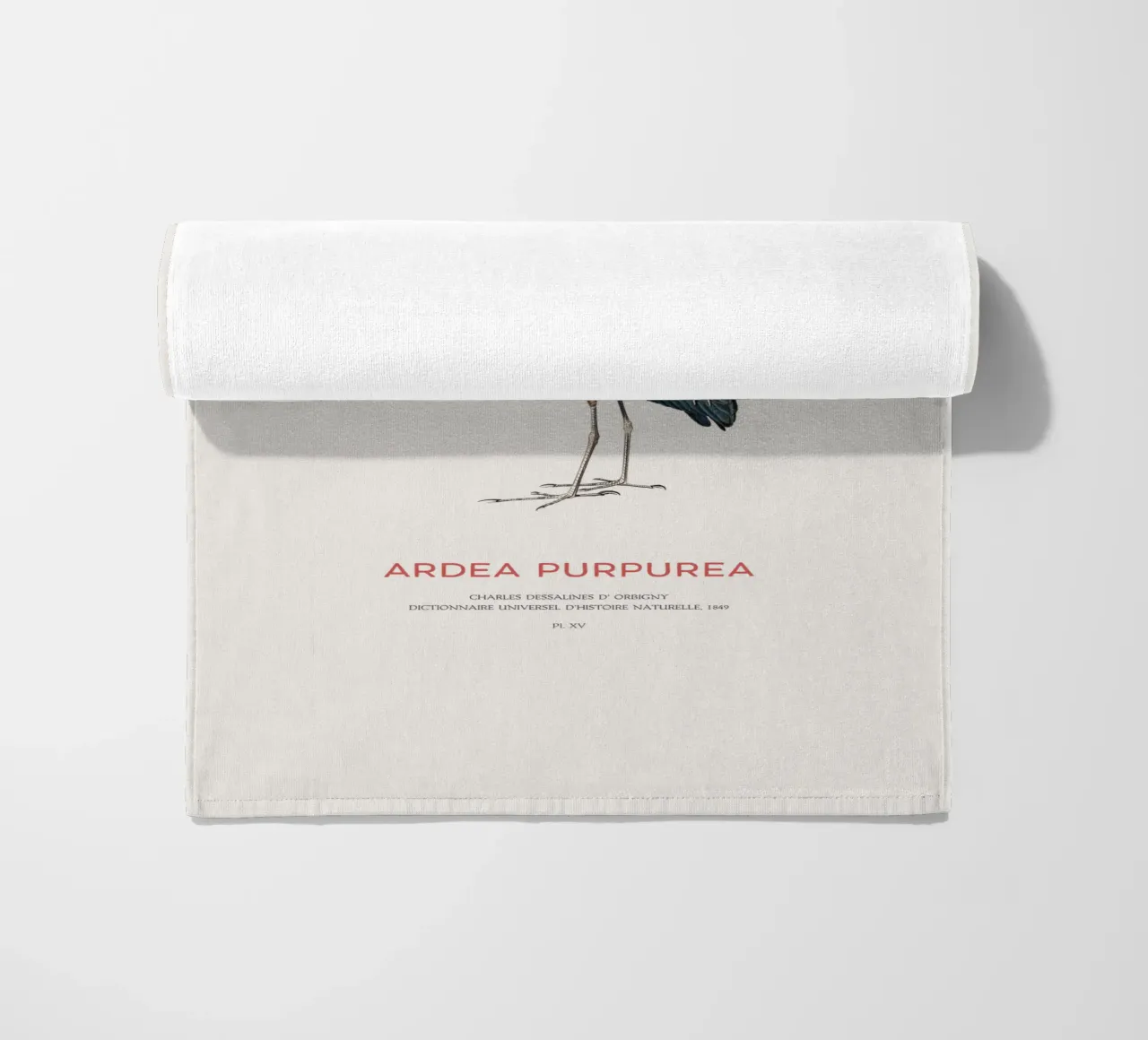 Purple heron or Ardea Purpurea beach towel by Vintagrafica