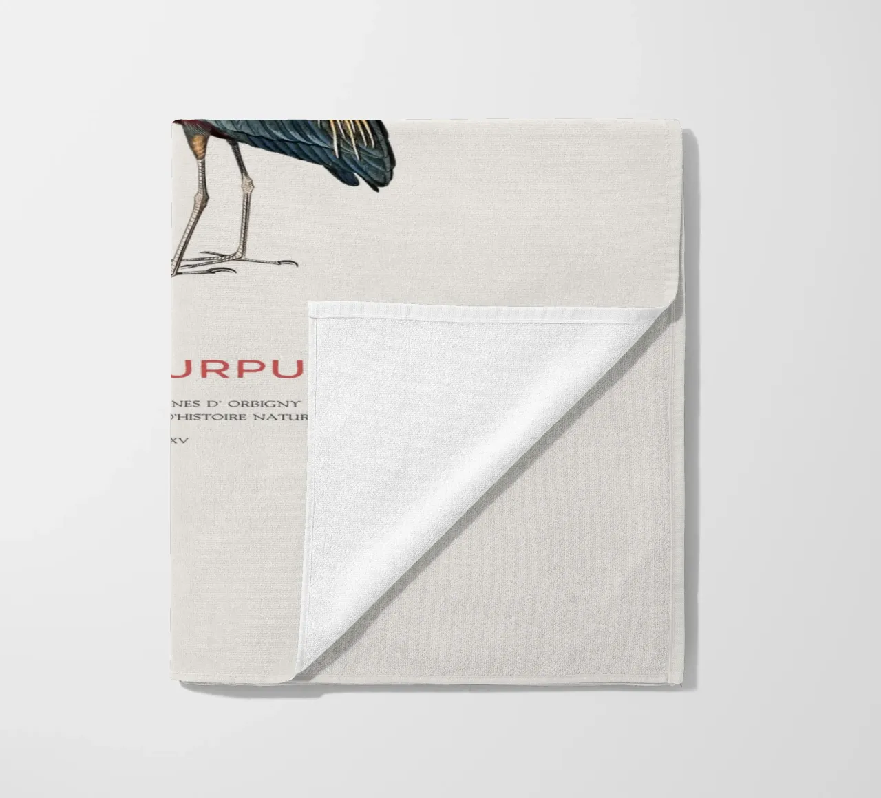 Purple heron or Ardea Purpurea beach towel by Vintagrafica
