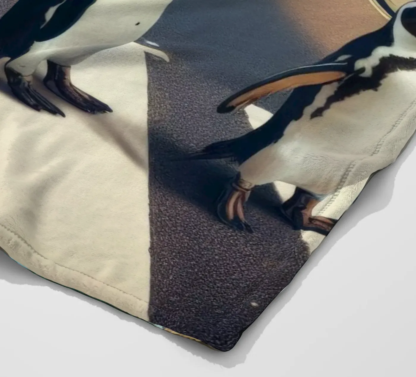 Abbey coperta in pile da Art Unleashed