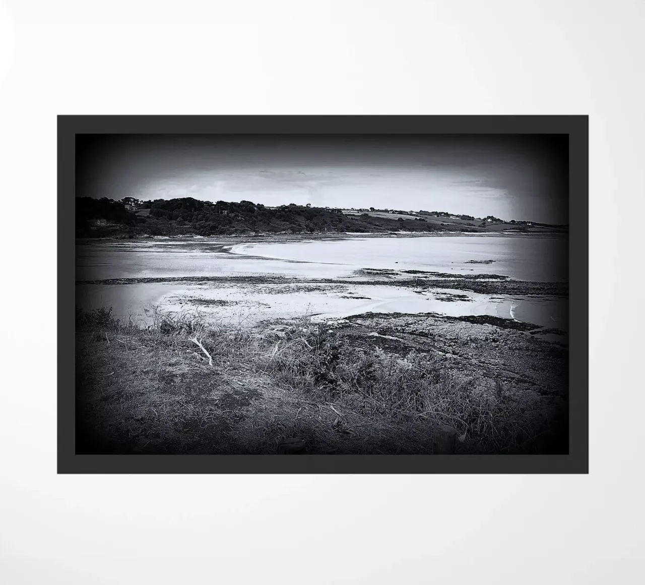 BW2 zerbino da Thierry vobmann photography