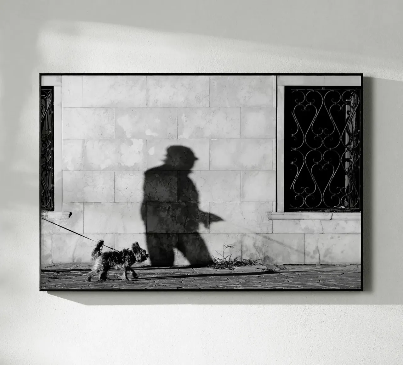 Cane e padrone plexiglass da eyes & tries