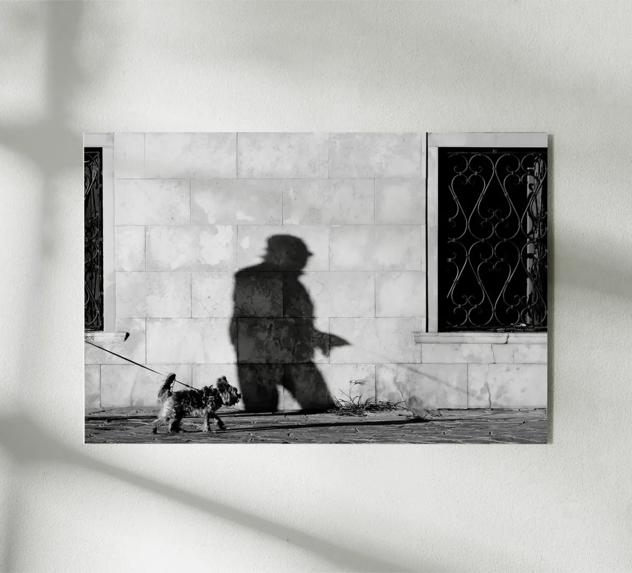 Cane e padrone plexiglass da eyes & tries