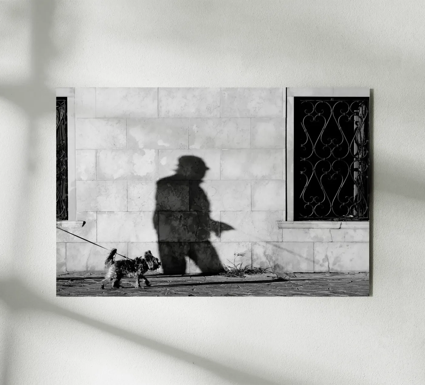 Dog and master alluminio dibond da eyes & tries