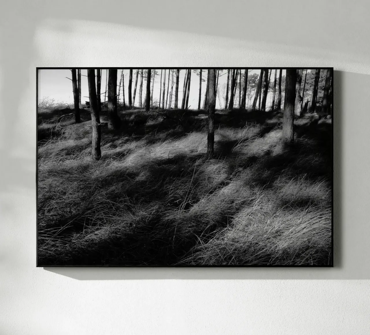 Wald 01 plexiglass da eyes & tries