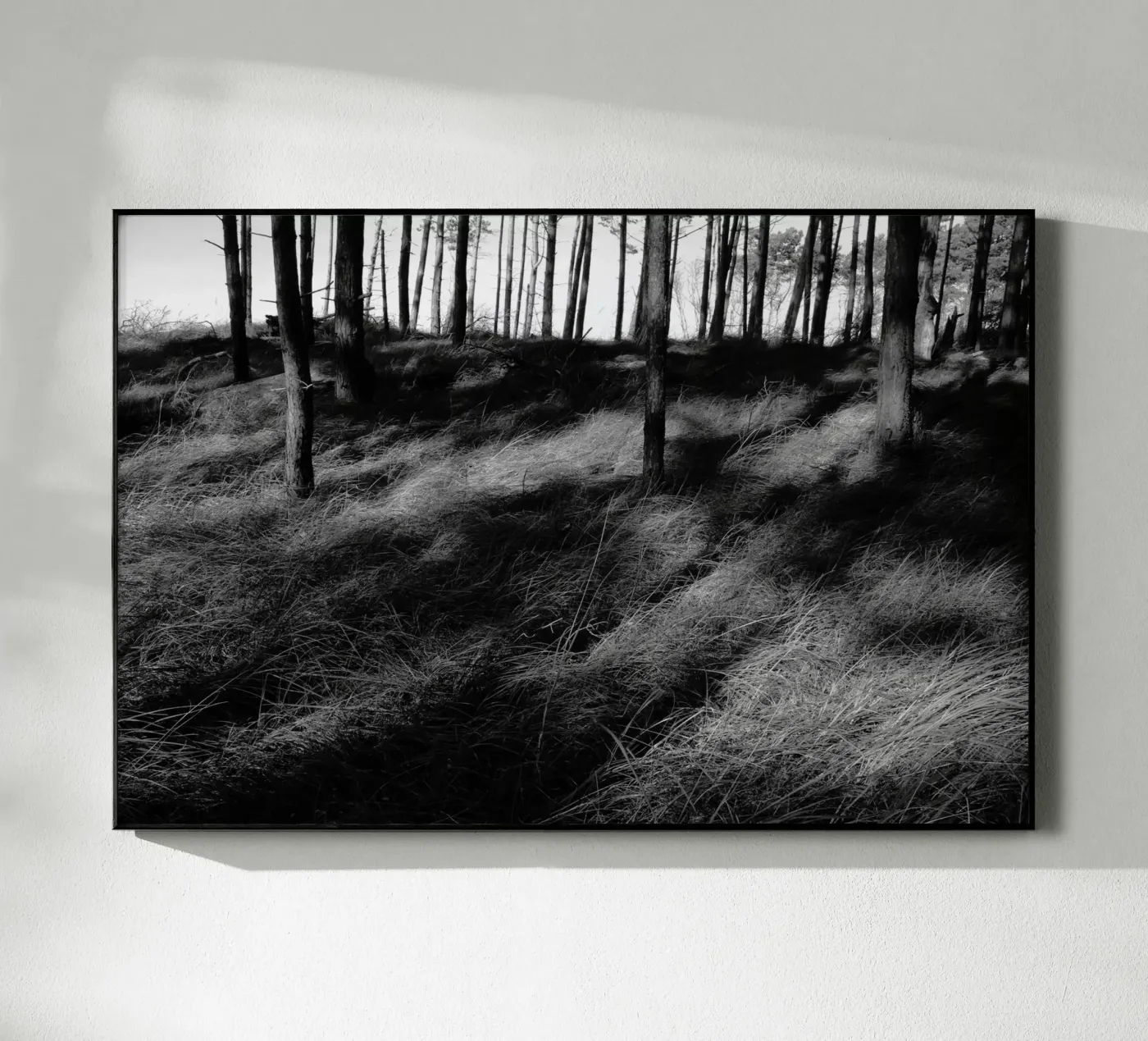 Wald 01 Acryl-Glas von eyes & tries