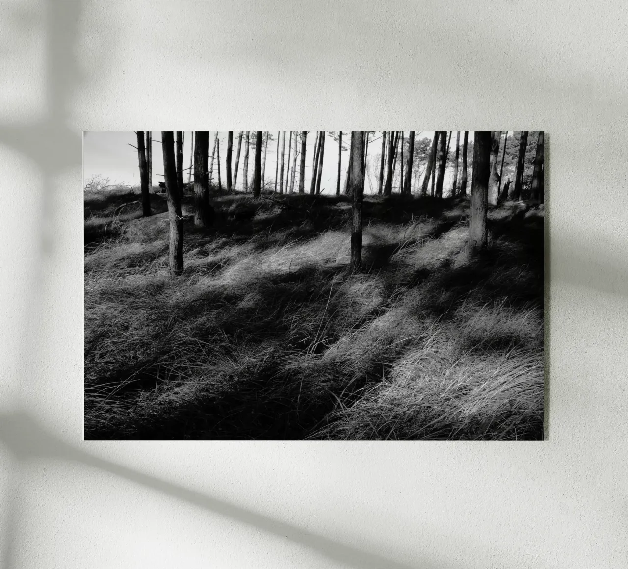 Wald 01 plexiglass da eyes & tries