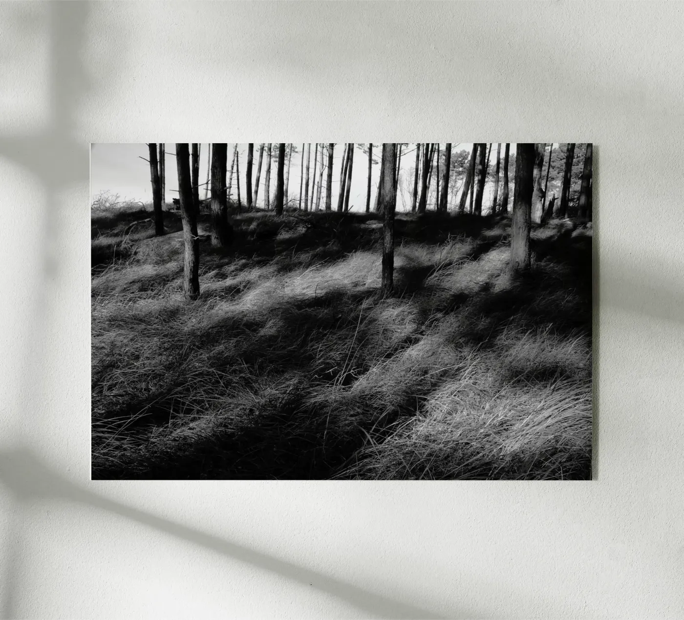 Wald 01 Acryl-Glas von eyes & tries