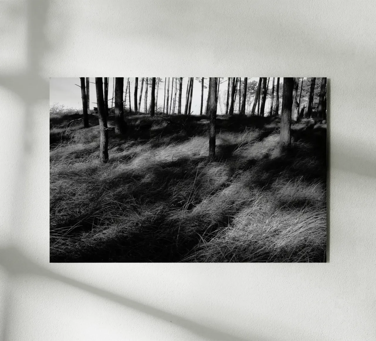 Wald 01 alluminio dibond da eyes & tries