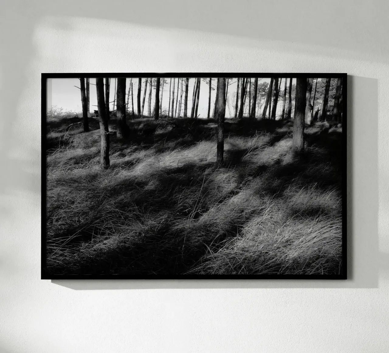 Wald 01 poster da eyes & tries