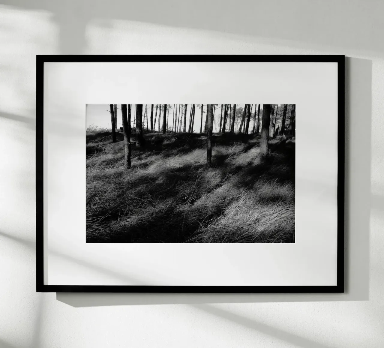 Wald 01 poster da eyes & tries