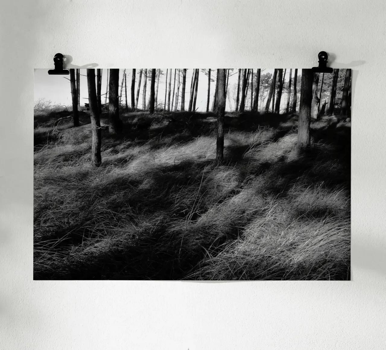 Wald 01 poster da eyes & tries