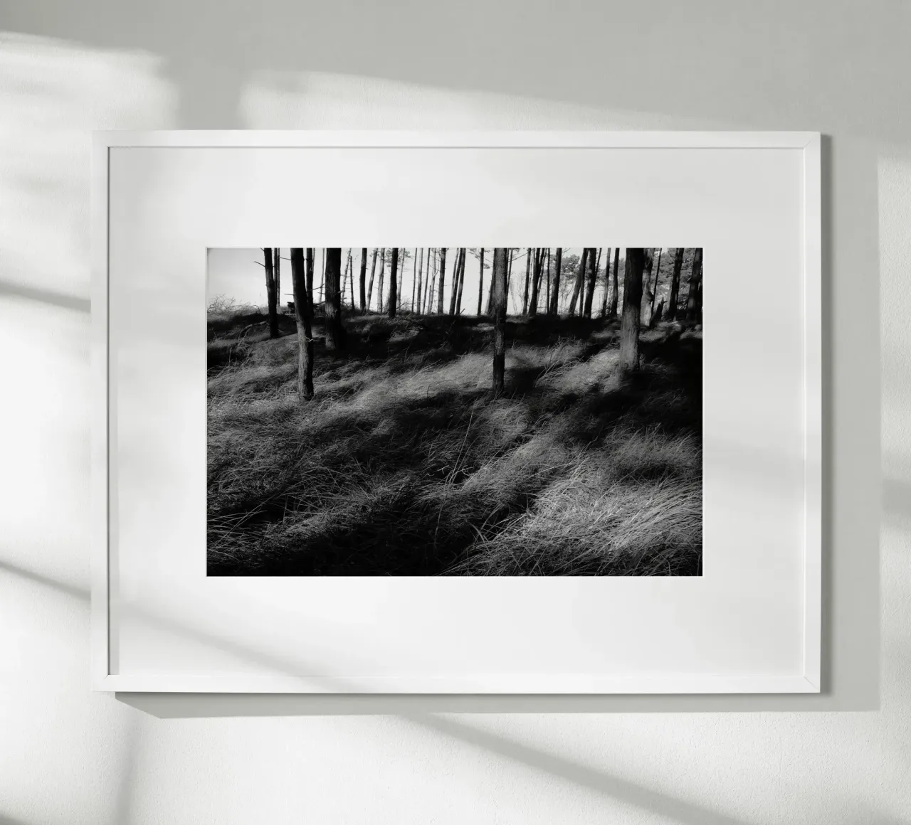 Wald 01 poster da eyes & tries