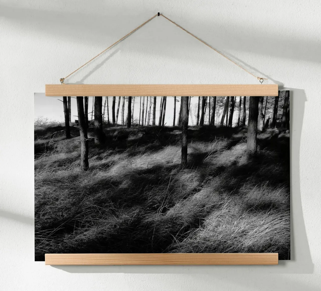 Wald 01 poster da eyes & tries