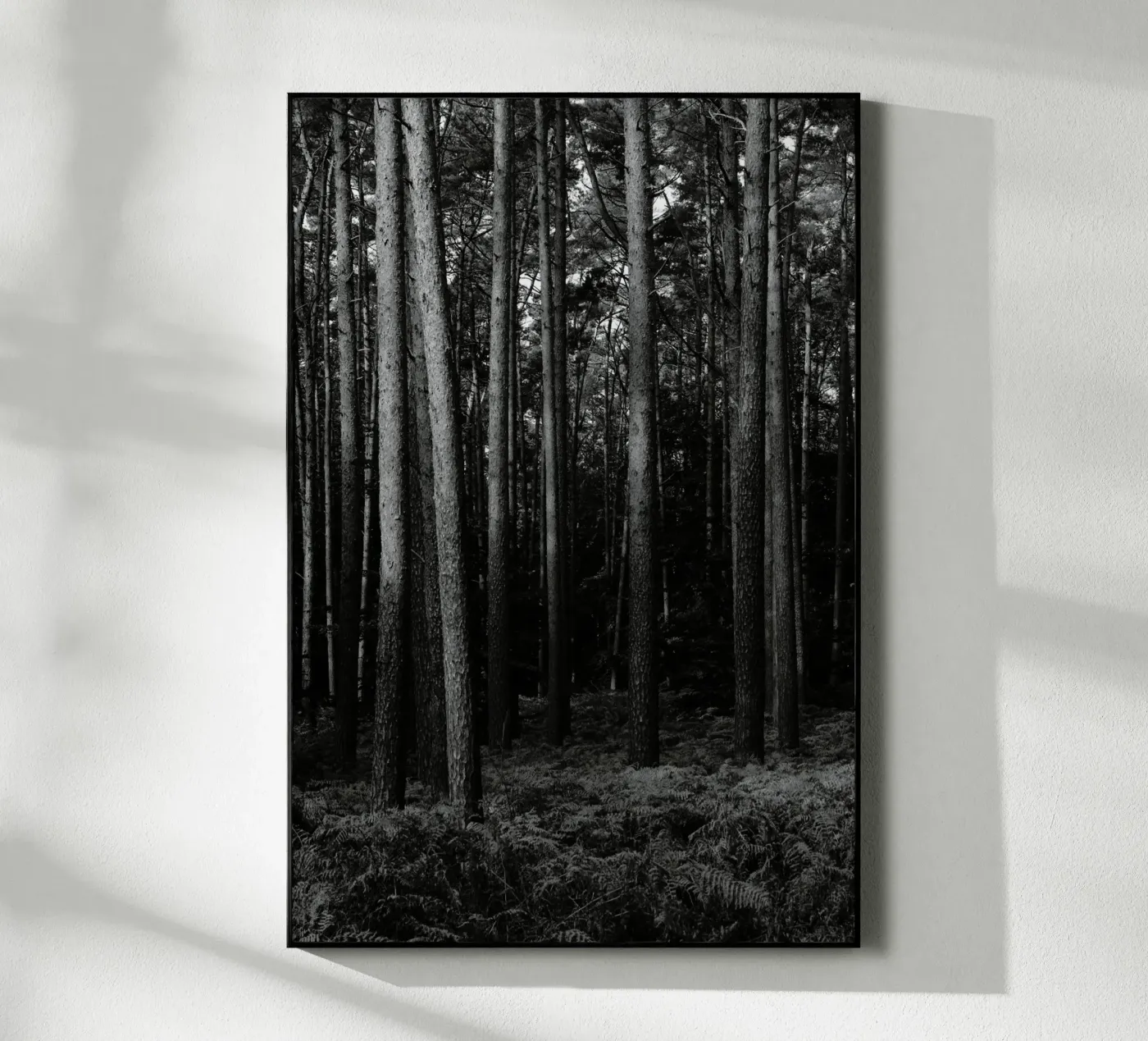 Wald Acryl-Glas von eyes & tries