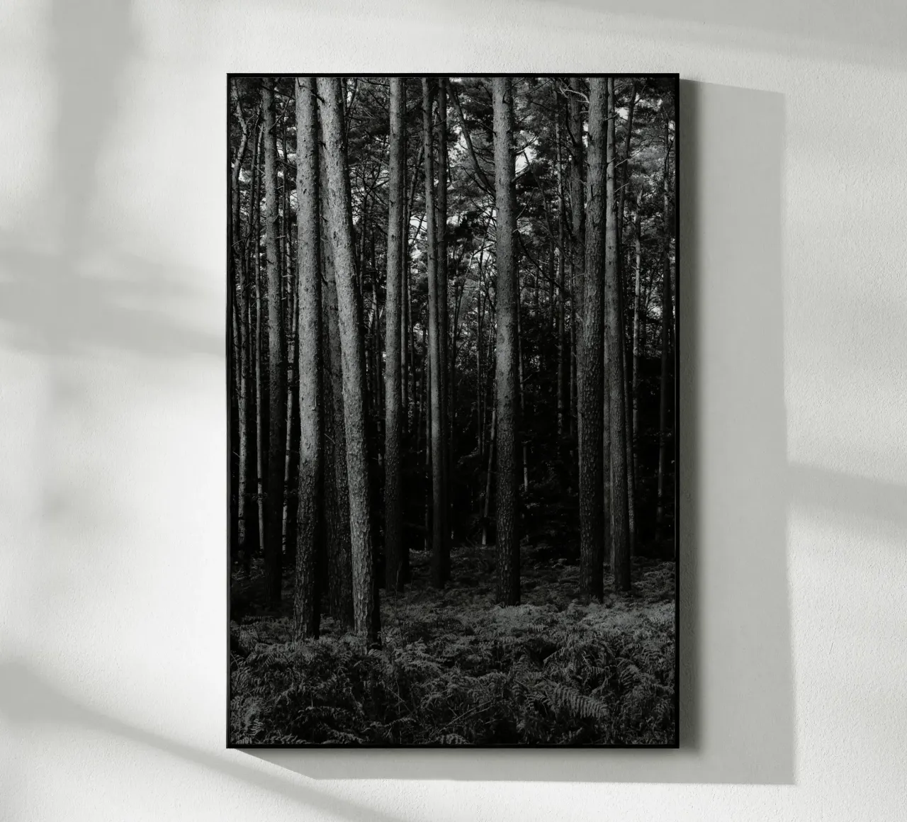 Wald plexiglass da eyes & tries