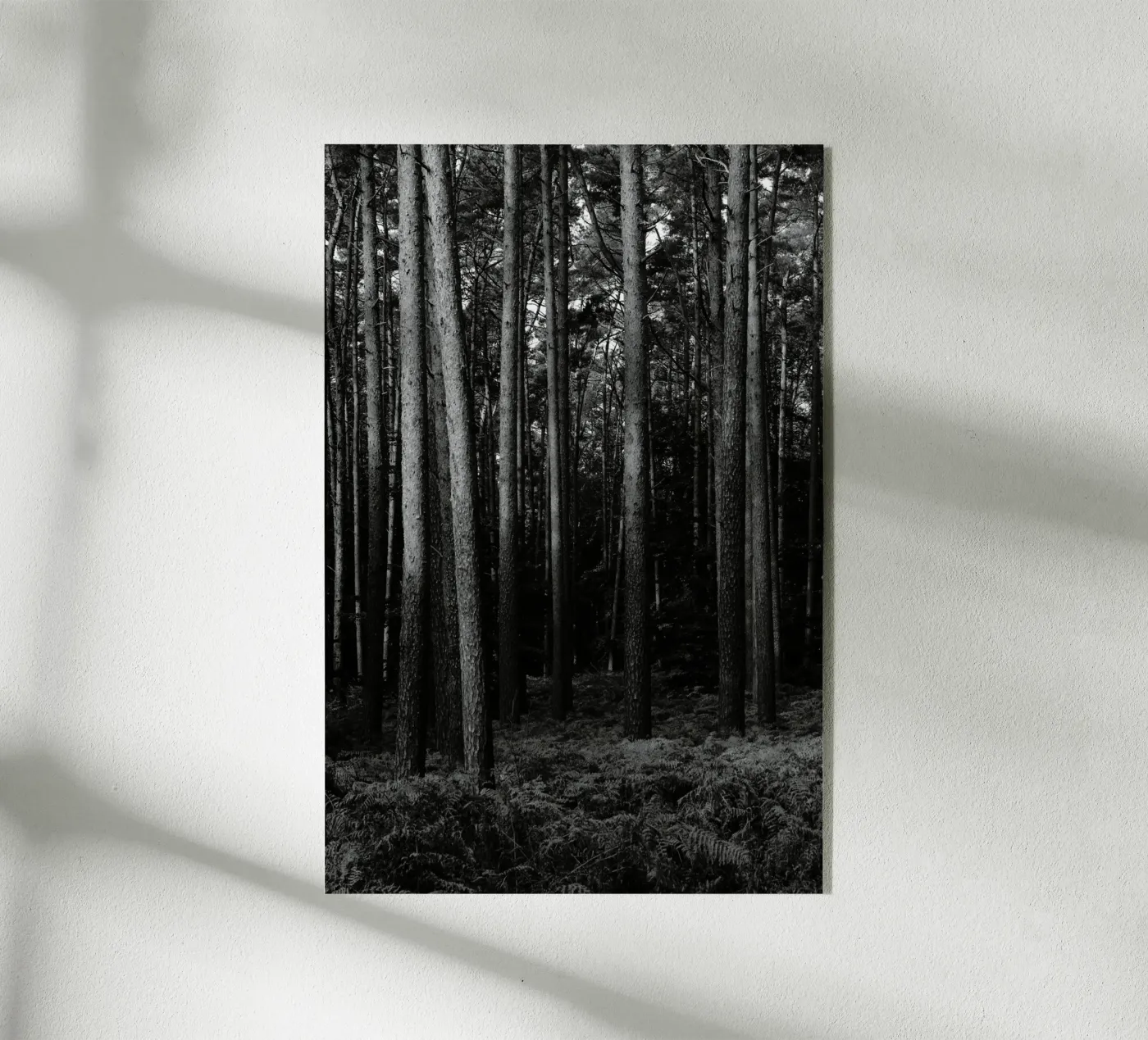 Wald Acryl-Glas von eyes & tries