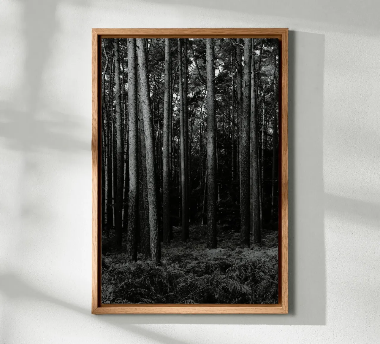 Wald forex plate by eyes & tries