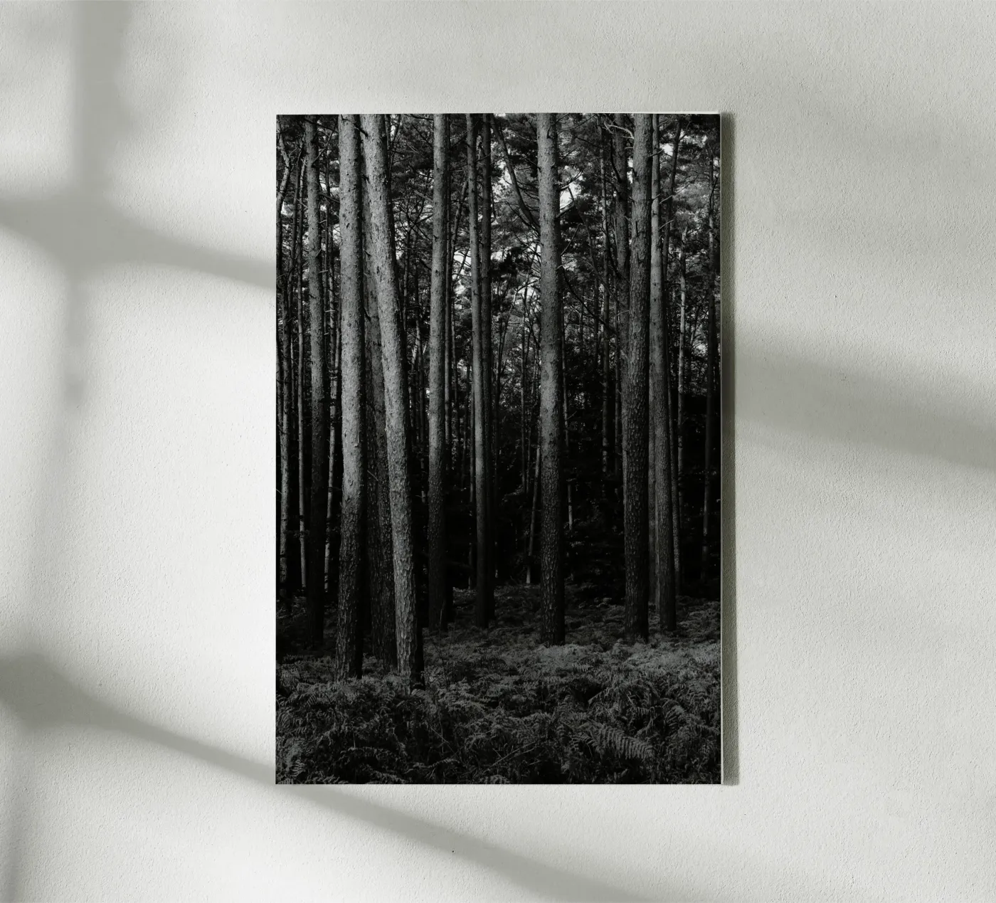 Wald canvas van eyes & tries