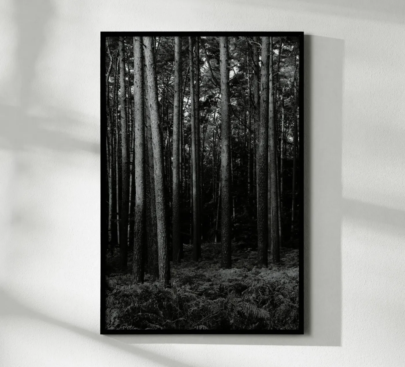 Wald poster da eyes & tries