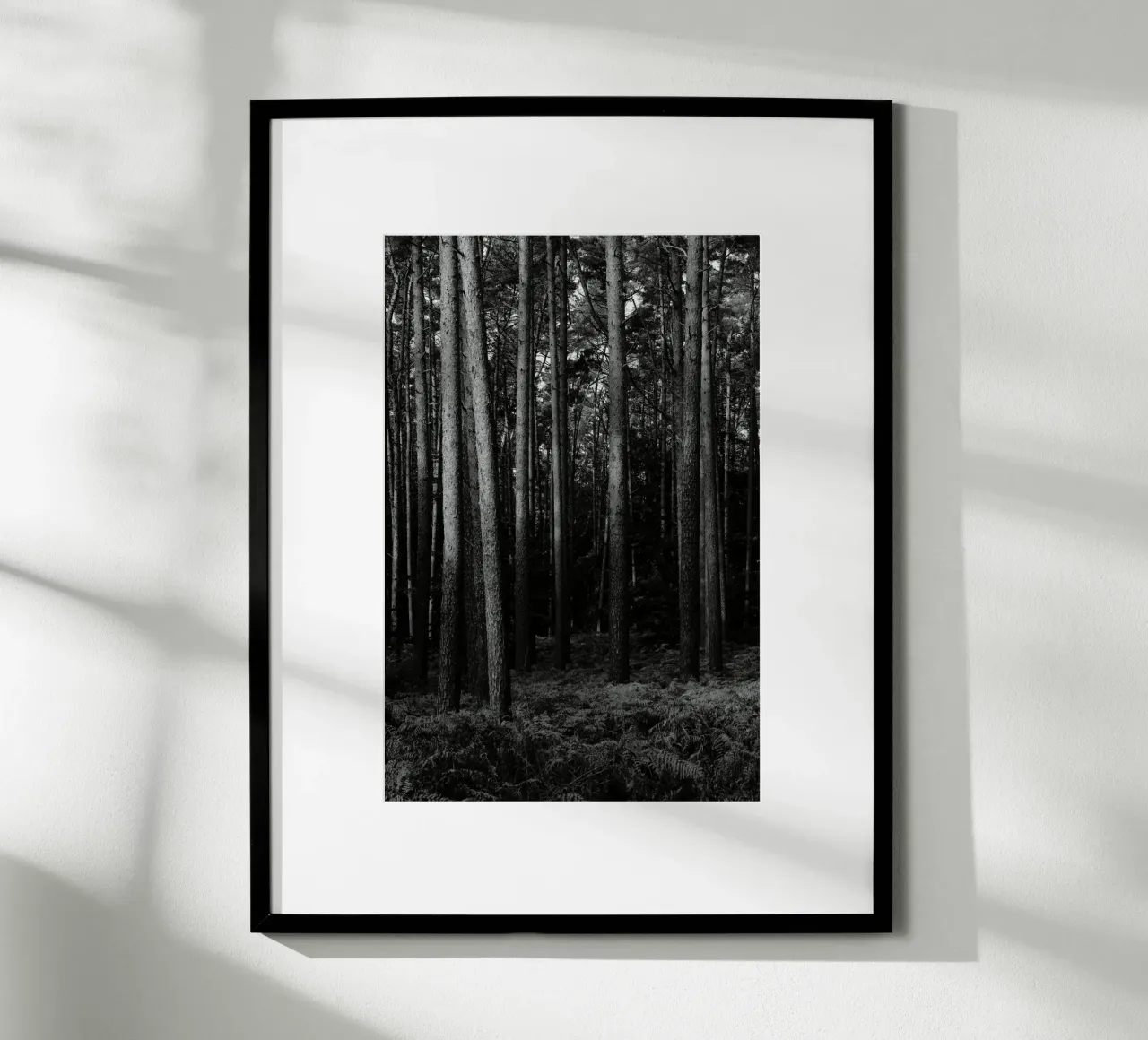 Wald poster da eyes & tries