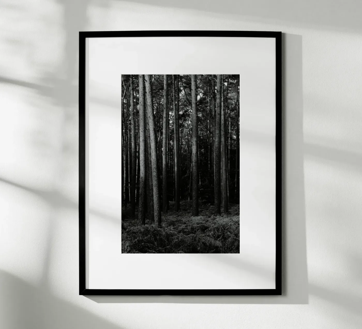 Wald poster da eyes & tries