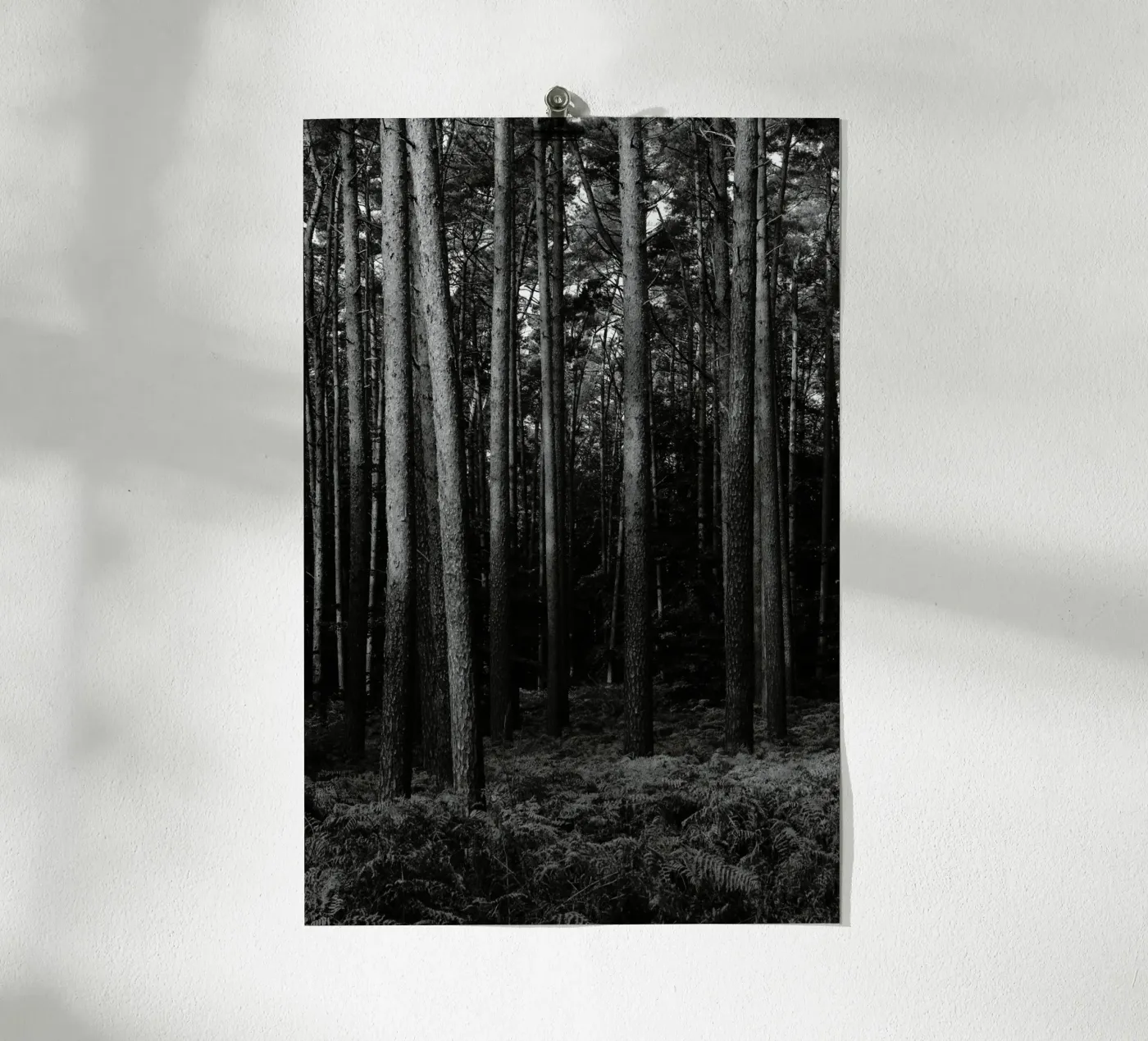 Wald poster da eyes & tries