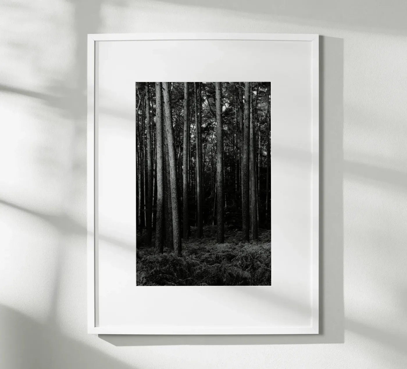 Wald poster da eyes & tries