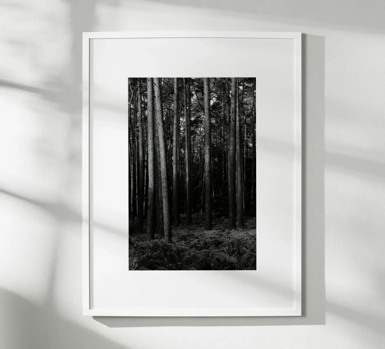 Wald poster da eyes & tries